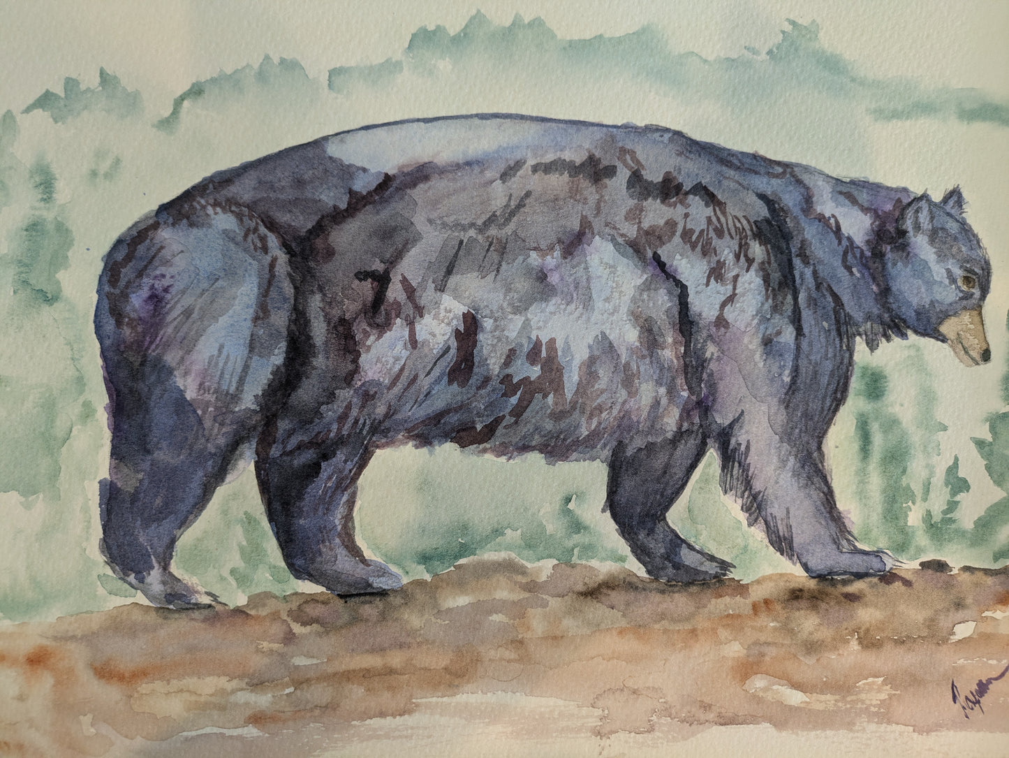 Watercolor grizzly bear